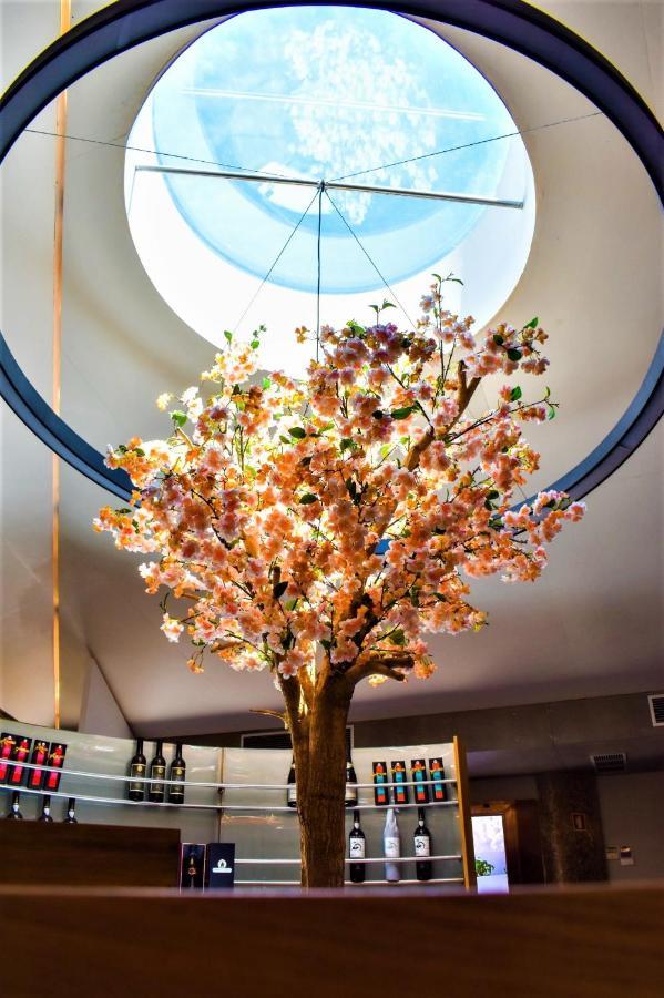 Paraiso Villas & Spa Guimarães Екстериор снимка
